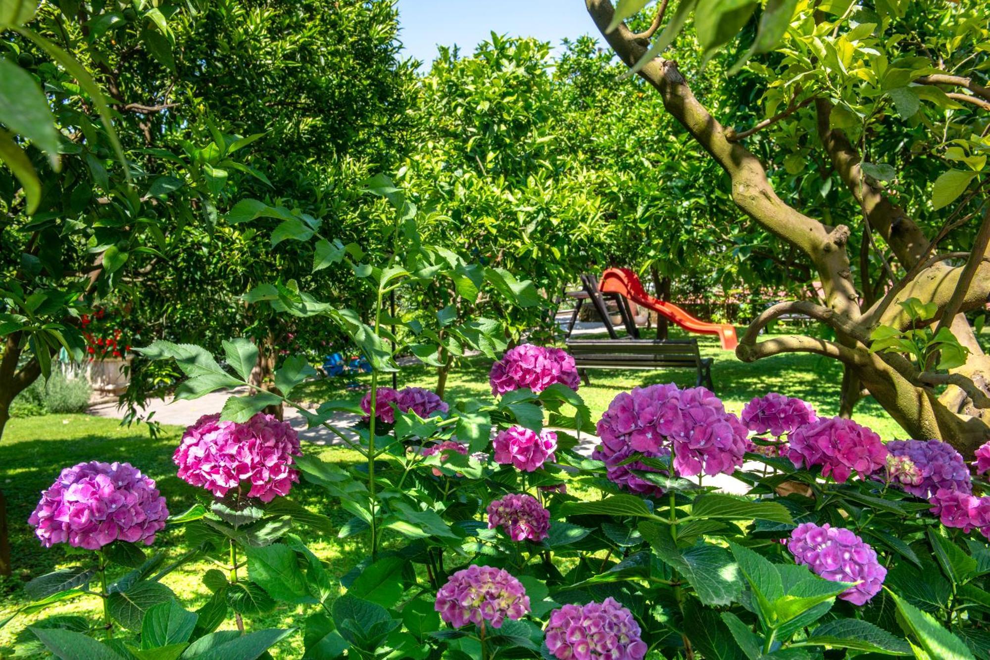 Hilton Sorrento Palace Екстер'єр фото